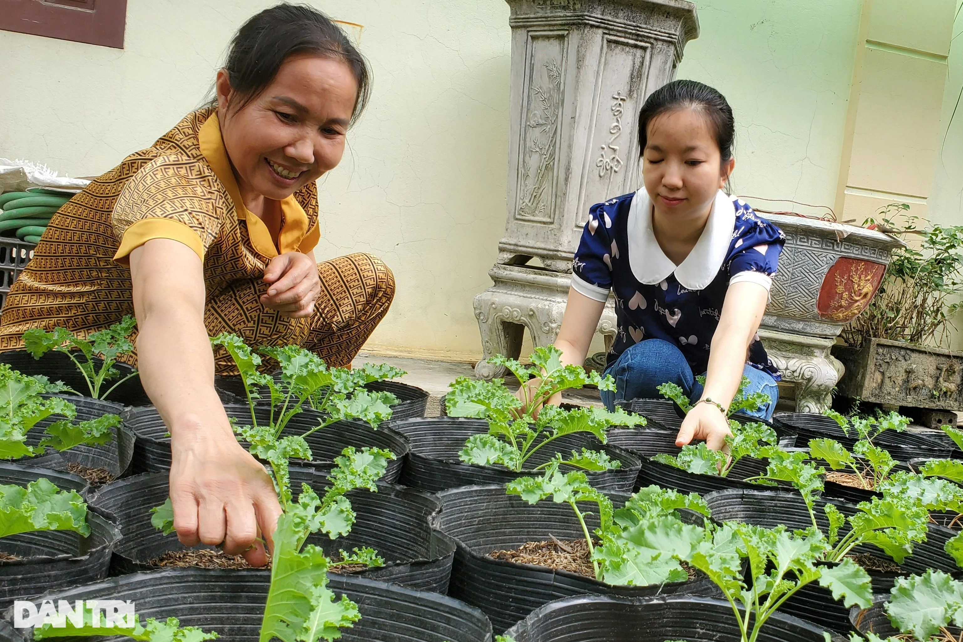 Cô gái chỉ nghe một tai, nhìn một mắt, sống bằng cả trái tim