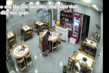 Mèo mẹ lao đến tấn công người đã vô tình giẫm vào mèo con