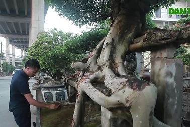 "Báu vật" tiền tỷ dưới chân cầu Thăng Long