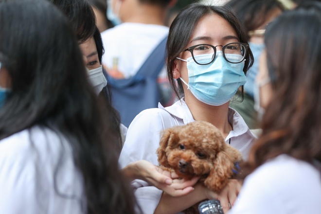 Ngắm nữ sinh duyên dáng trong mùa thi tốt nghiệp THPT 2020 - 5 Ngắm nữ sinh duyên dáng trong mùa thi tốt nghiệp THPT 2020 - 5