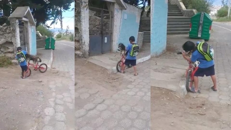 Xúc động khoảnh khắc cậu bé đeo khẩu trang cho cún cưng - 2 Xúc động khoảnh khắc cậu bé đeo khẩu trang cho cún cưng - 2
