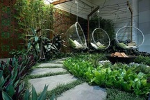 6 ý tưởng tuyệt vời xây dựng “ngôi nhà tràn ngập cây xanh” giữa lòng đô thị