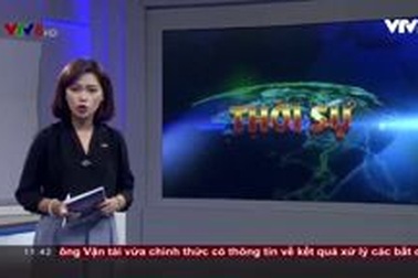 Quảng Trị: “Đỏ mắt” tìm lao động đi biển