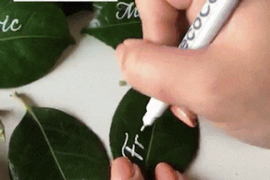 Cô gái gốc Việt kiếm sống bằng khả năng… viết chữ đẹp