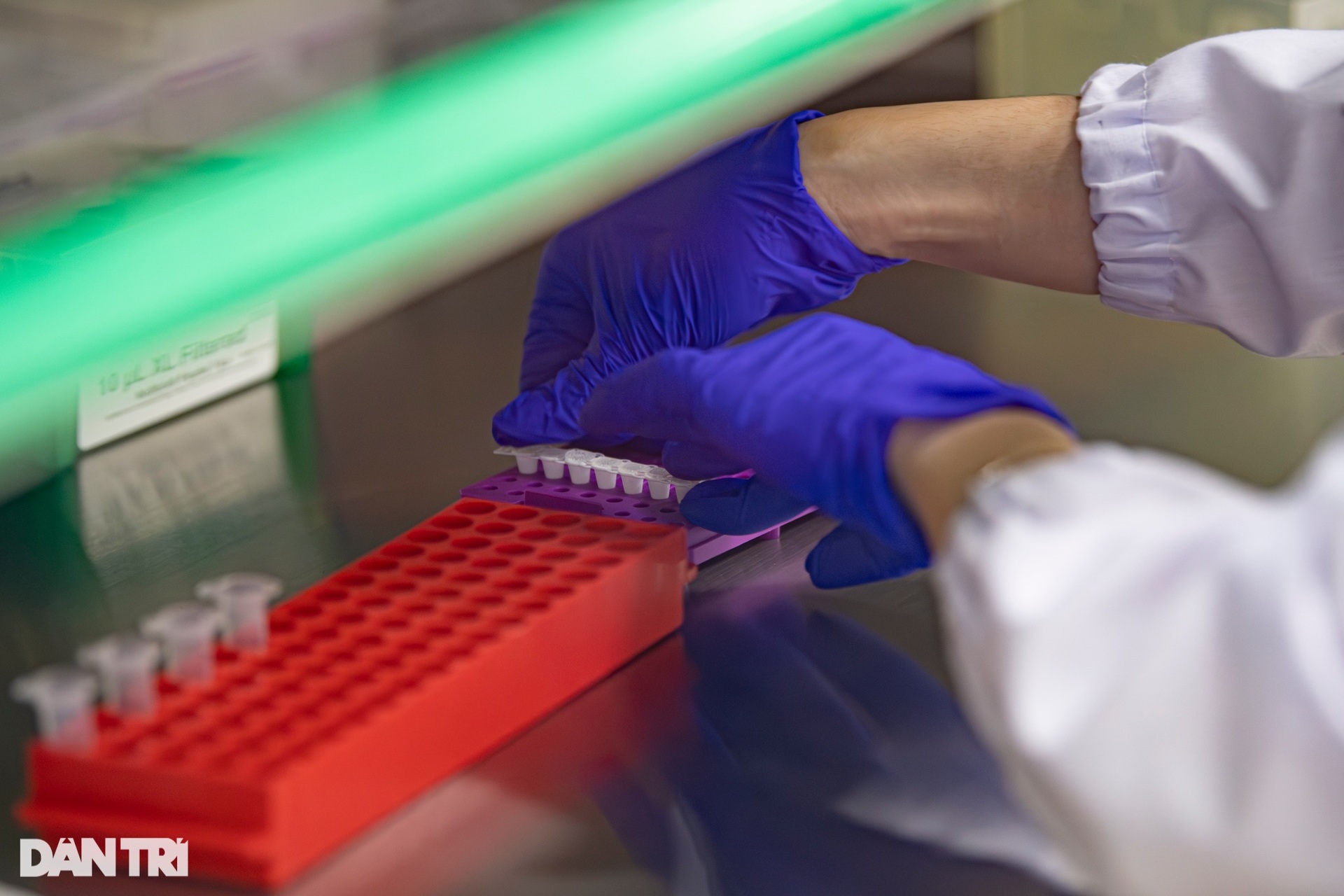 Quy trình nghiêm ngặt xét nghiệm gen định danh công dân - 11