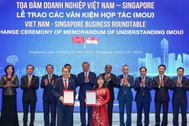 VinUni và Đại học NTU - Singapore ký kết hợp tác chiến lược