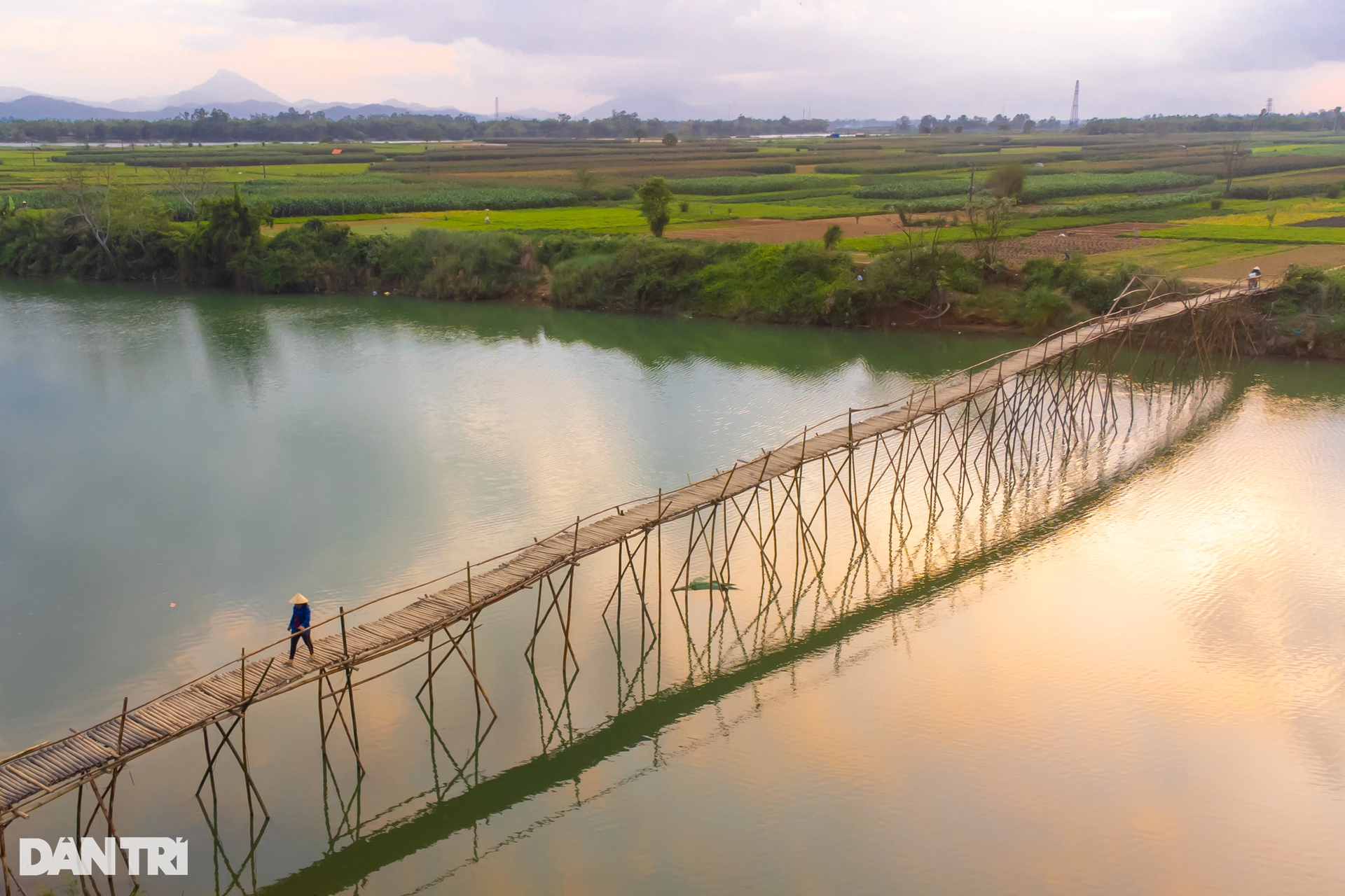Cầu tre duy nhất còn lại ở Quảng Nam, khách nước ngoài thích thú chụp ảnh - 3 Cầu tre duy nhất còn lại ở Quảng Nam, khách nước ngoài thích thú chụp ảnh - 3