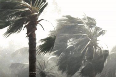 Hình ảnh Quảng Ninh bị "tàn phá" trong 6 giờ bão Yagi càn quét