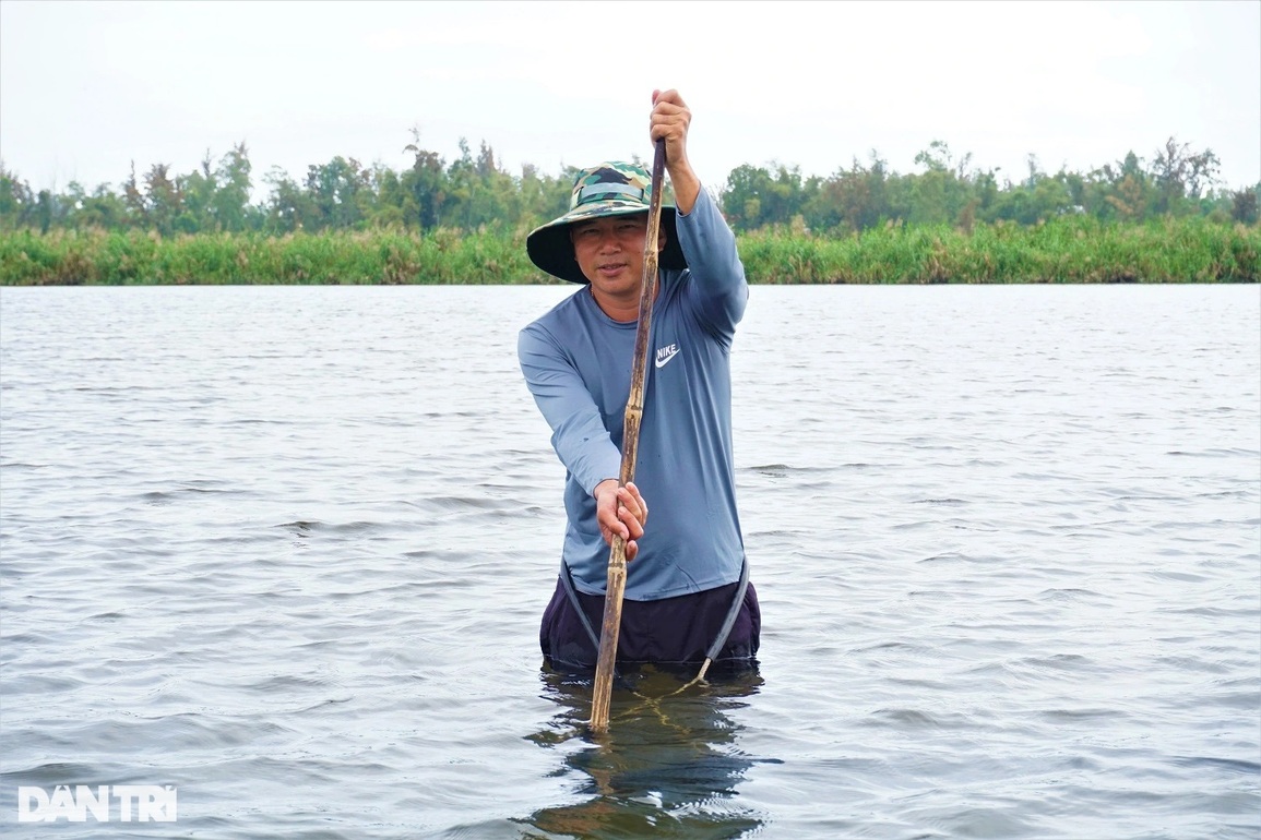 Theo chân những người dầm mình, ngâm nước cào hến ở sông Trường Giang - 12 Theo chân những người dầm mình, ngâm nước cào hến ở sông Trường Giang - 12
