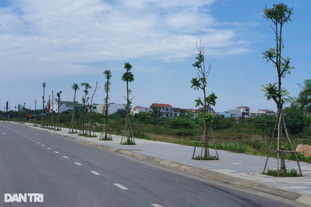 Khai trừ khỏi Đảng hàng loạt cán bộ vi phạm liên quan đến đại án cây xanh - 1 Khai trừ khỏi Đảng hàng loạt cán bộ vi phạm liên quan đến đại án cây xanh - 1
