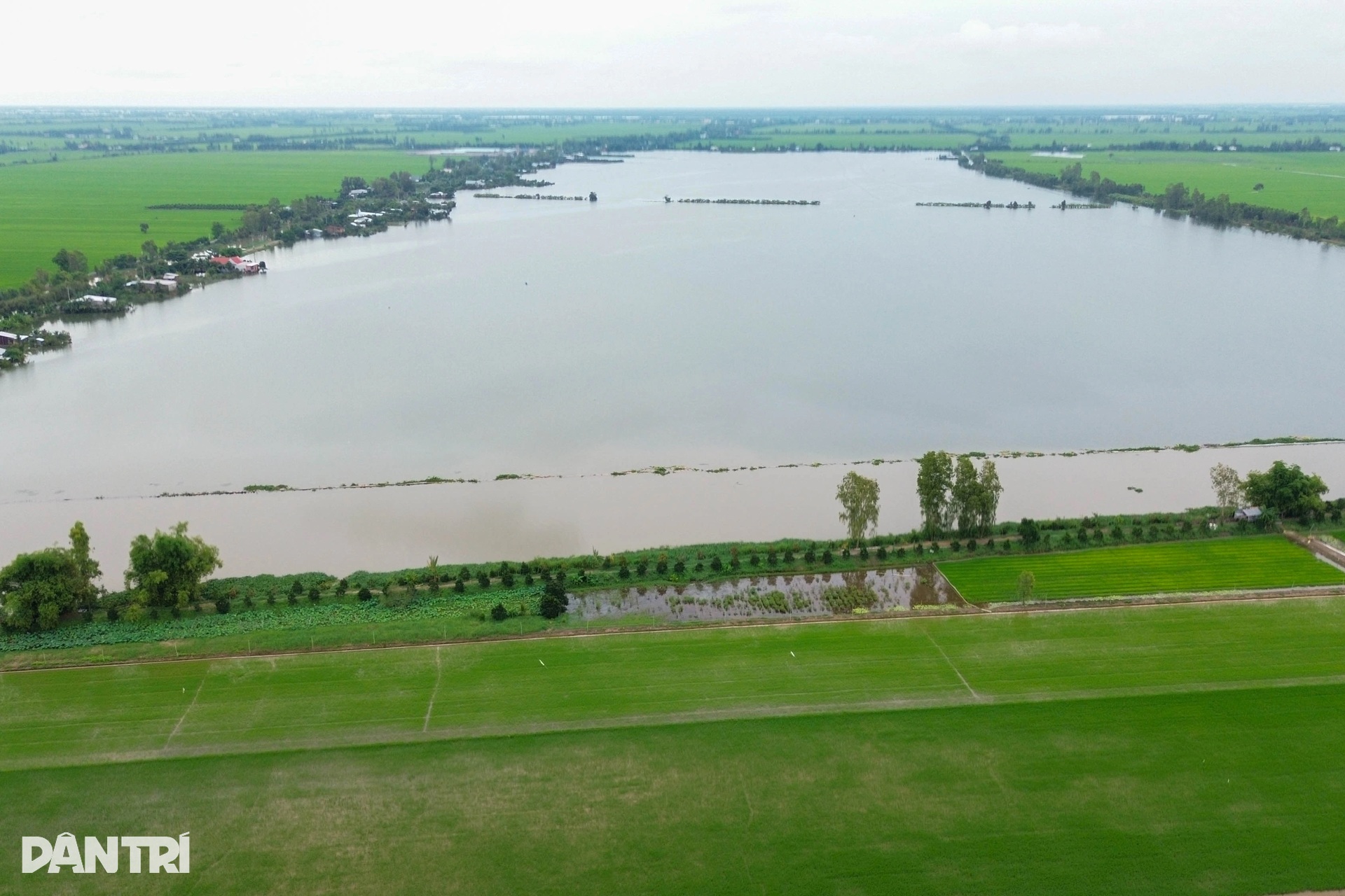 Nông dân miền Tây lo mất Tết vì sạt lở, vỡ đê, nước ngập bủa vây - 5