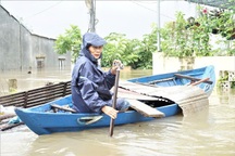 Lũ ập tới bất ngờ, người dân Tam Kỳ quay cuồng trong biển nước