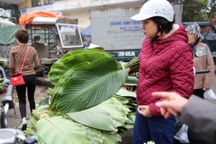 Hà Nội: Chợ lá dong nhộn nhịp ngày cận Tết