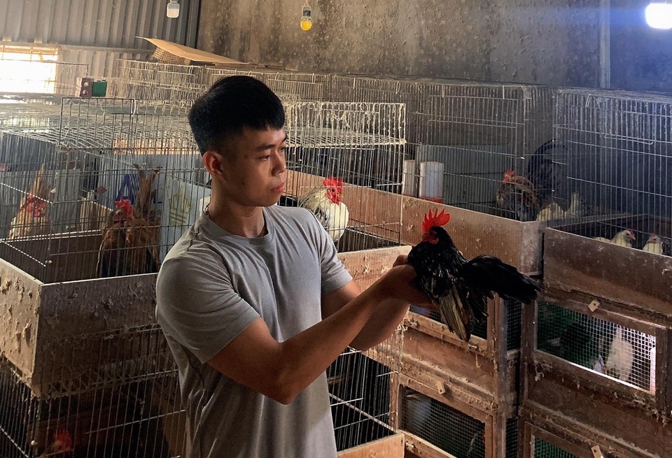 Nam huấn luyện viên thể hình bỏ việc về nuôi gà lực sĩ, thu lãi khủng - 1 Nam huấn luyện viên thể hình bỏ việc về nuôi gà lực sĩ, thu lãi khủng - 1