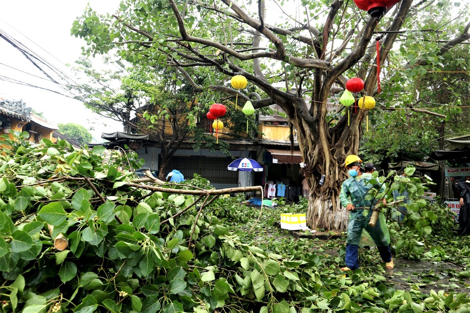 Phố cổ Hội An bảo vệ di tích trước khi bão đổ bộ - 12 Phố cổ Hội An bảo vệ di tích trước khi bão đổ bộ - 12