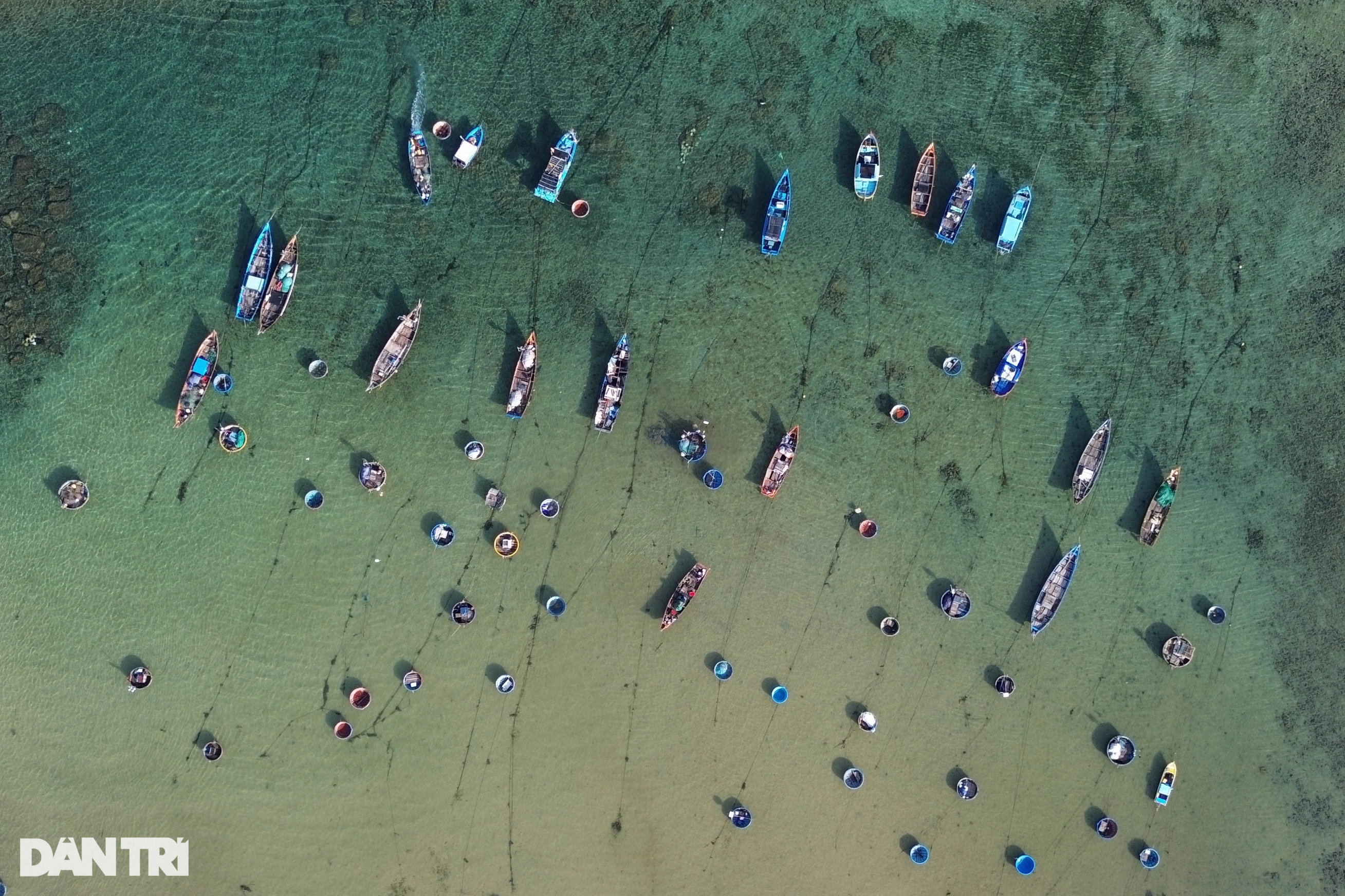 ផ្សារត្រីក្នុងទីបញ្ចុះសពកប៉ាល់បុរាណ - ១០ Chợ cá nơi nghĩa địa tàu cổ - 10