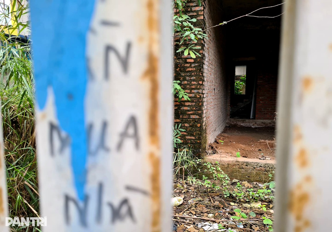 Biệt thự để cỏ mọc um tùm nhưng được hét giá khiến đại gia bỏng tay - 4