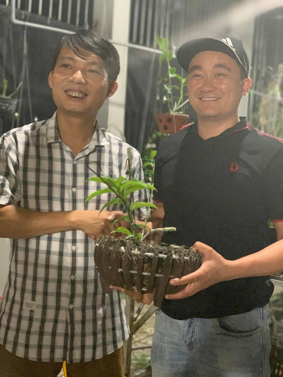 Nghệ nhân Đoàn Văn Thái chia sẻ cách chăm sóc hoa lan vào mùa đông cho người mới chơi lan - 3 Nghệ nhân Đoàn Văn Thái chia sẻ cách chăm sóc hoa lan vào mùa đông cho người mới chơi lan - 3