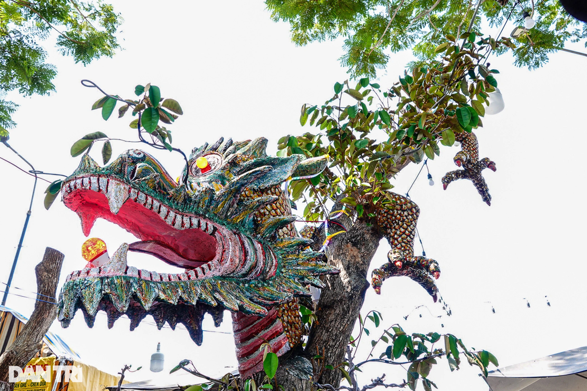 Mai trực thăng, vú sữa dáng rồng, ổi 200 tuổi khuấy đảo chợ hoa miền Tây - 3 Mai trực thăng, vú sữa dáng rồng, ổi 200 tuổi khuấy đảo chợ hoa miền Tây - 3