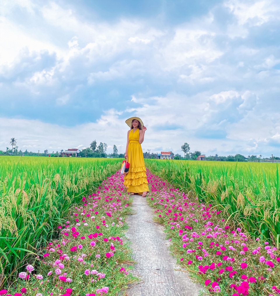 Hướng dẫn tới đường hoa mười giờ đẹp nhất Gò Công - 8 Hướng dẫn tới đường hoa mười giờ đẹp nhất Gò Công - 8