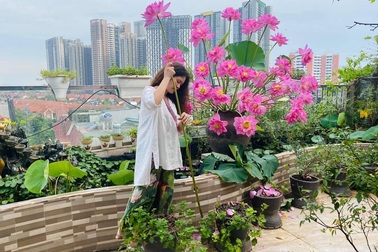 "Vườn hoa khổng lồ" trên sân thượng của người phụ nữ Hà Nội