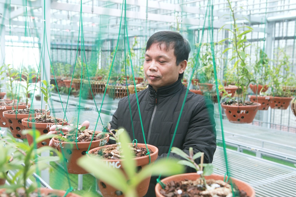 Lặng ngắm giàn lan đột biến khủng được làm từ 30 tấn thép trên sân thượng - 2 Lặng ngắm giàn lan đột biến khủng được làm từ 30 tấn thép trên sân thượng - 2
