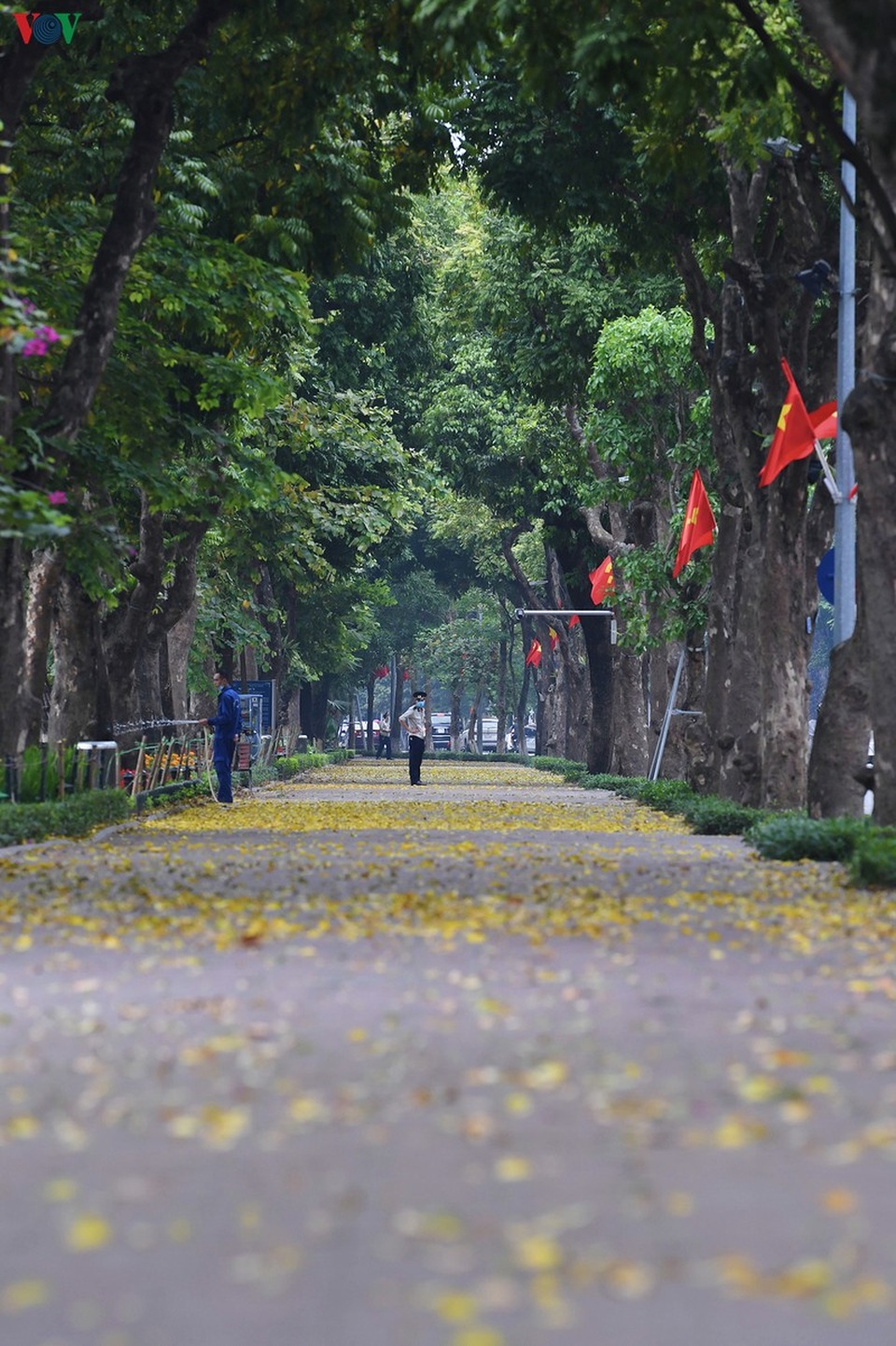 Phố phường Hà Nội đẹp nao lòng mùa sấu trút lá vàng - 13 Phố phường Hà Nội đẹp nao lòng mùa sấu trút lá vàng - 13