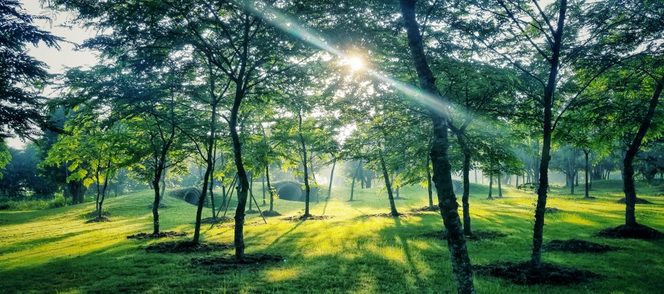 Chán nội đô khói bụi, cặp vợ chồng trẻ Hà Nội bán nhà ra ven đô sống xanh” - 1 Chán nội đô khói bụi, cặp vợ chồng trẻ Hà Nội bán nhà ra ven đô sống xanh” - 1