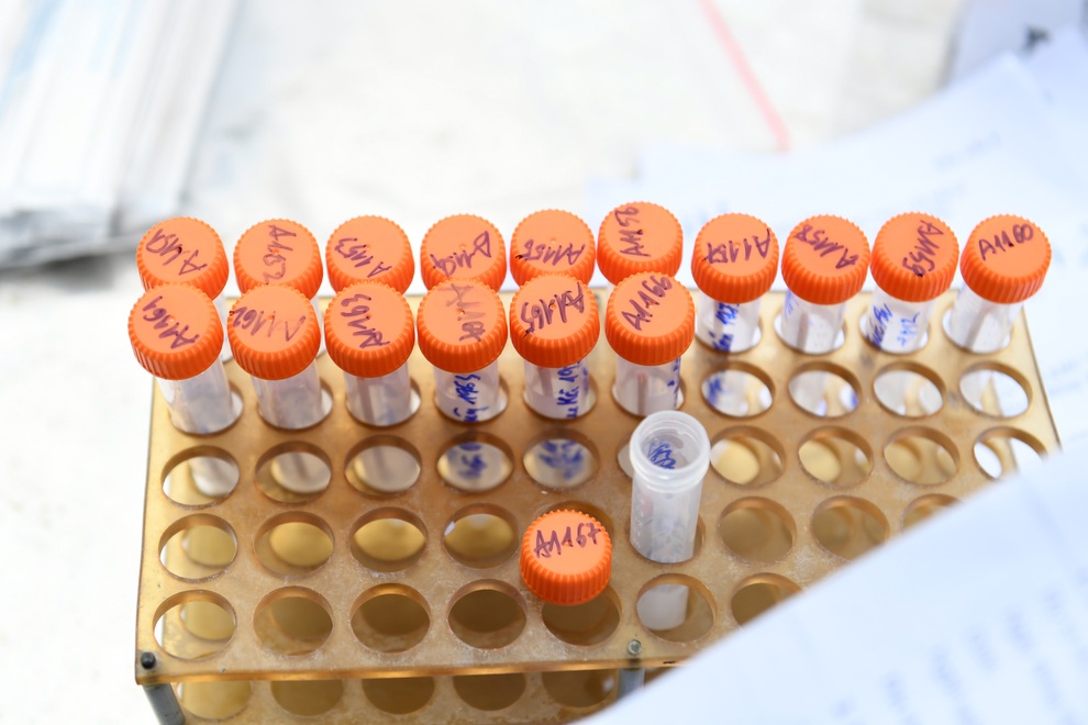 Gây nên làn sóng dịch lớn chưa từng có, virus Delta nguy hiểm như thế nào? - 3 Gây nên làn sóng dịch lớn chưa từng có, virus Delta nguy hiểm như thế nào? - 3