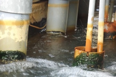 Cần Thơ: Dân bức xúc vì trả tiền nước sạch, sử dụng nước bẩn!