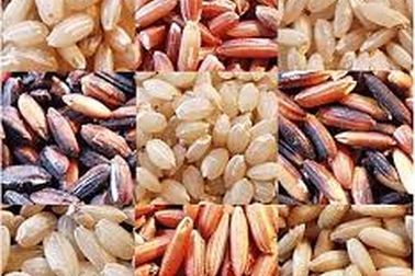 Cơ sở chữa bệnh bằng “gạo lứt, muối mè” ngưng hoạt động