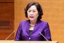 Chuyển quyền quyết khoản vay đặc biệt từ Thủ tướng sang Ngân hàng Nhà nước