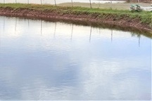 Ba chị em ra ao tôm giăng lưới, 2 người tử vong