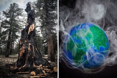 Các khu rừng nhiệt đới đang góp phần vào sự nóng lên toàn cầu