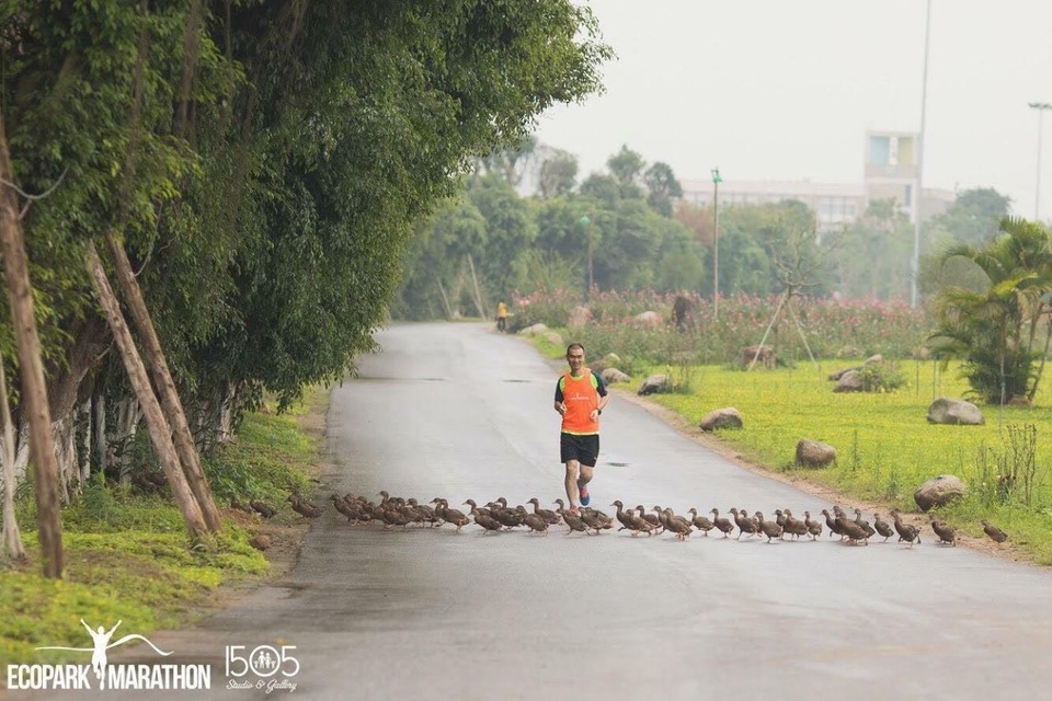 Toà tháp đôi cao cấp nhất Ecopark sở hữu hồ cảnh quan hơn 50 ha - 4 Toà tháp đôi cao cấp nhất Ecopark sở hữu hồ cảnh quan hơn 50 ha - 4