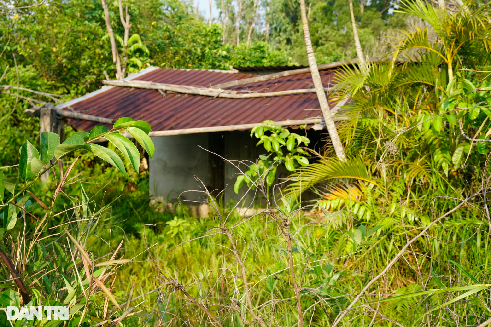 Binh Dinh'deki yaklaşık 800 milyar VND'lik eğlence parkı projesinin faaliyetine son verildi - 2 Chấm dứt hoạt động dự án khu vui chơi gần 800 tỷ đồng ở Bình Định - 2