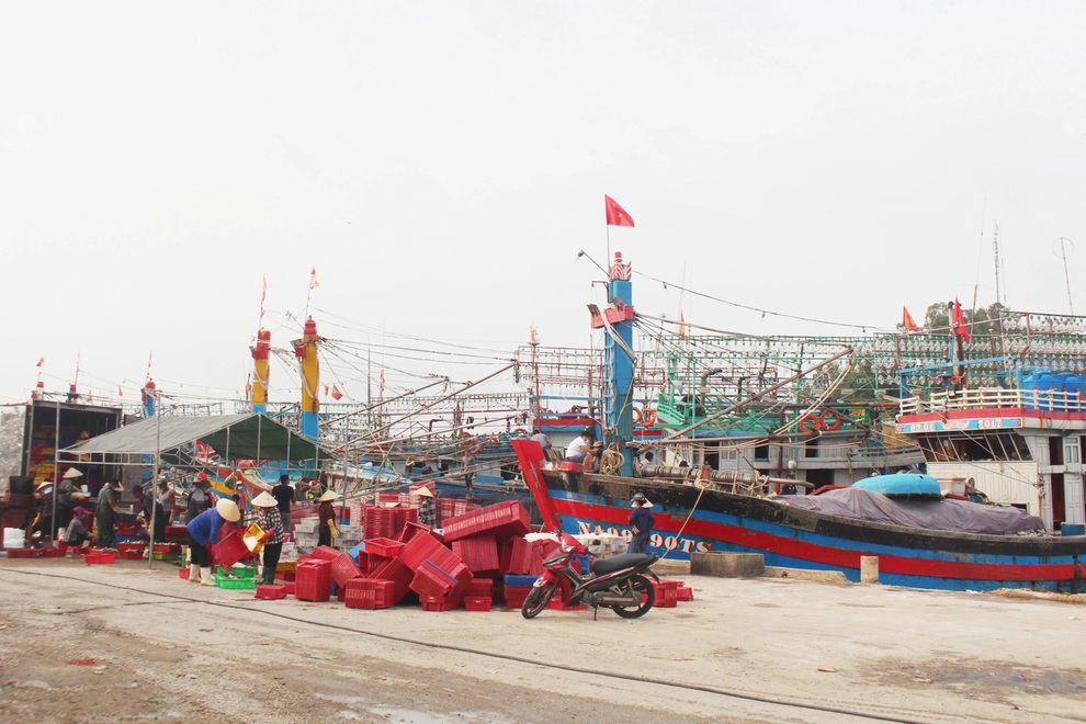 Những chuyến biển mang tiền khủng về cho ngư dân - 1 Những chuyến biển mang tiền khủng về cho ngư dân - 1