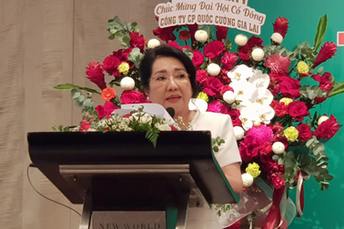 Bà Nguyễn Thị Như Loan trải lòng về vụ kiện lịch sử của Quốc Cường Gia Lai