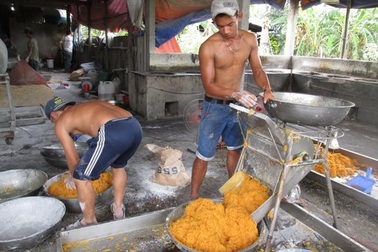 Kinh hãi lò sản xuất chà bông đầy ruồi và hóa chất