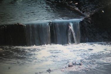 Kênh D ô nhiễm còn hơn kênh Ba Bò