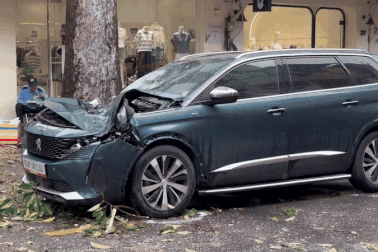 Nhân chứng kể vụ cây ngã đè ô tô trên đường ở TPHCM