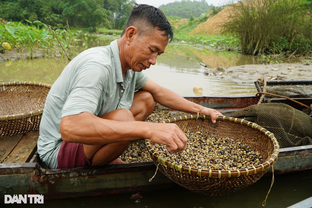 Công phu nghề cào hến trên sông Mã - 4 Công phu nghề cào hến trên sông Mã - 4