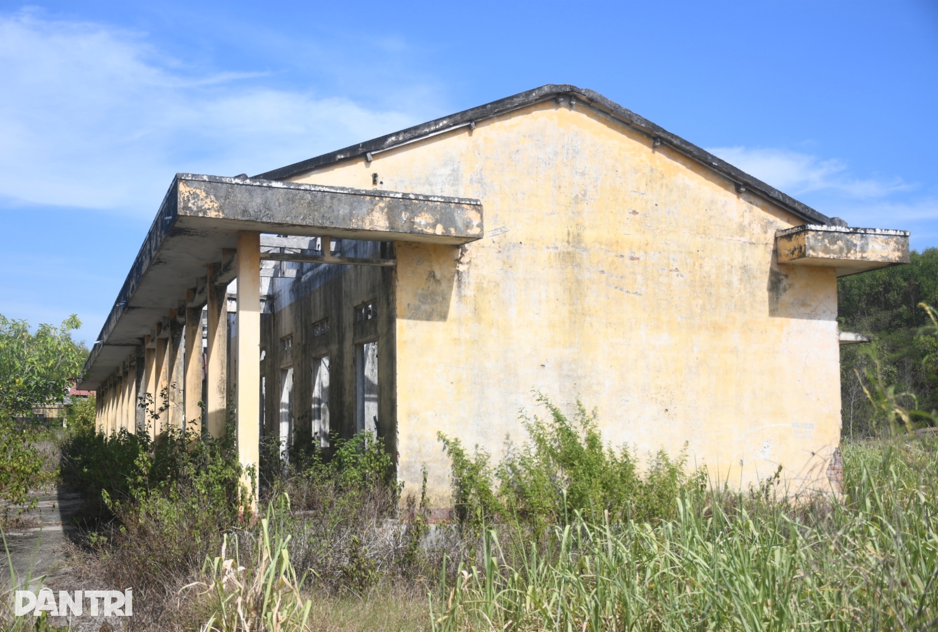 Khu tái định cư tiêu tốn hàng chục tỷ đồng rồi bỏ hoang gần 30 năm - 8 Khu tái định cư tiêu tốn hàng chục tỷ đồng rồi bỏ hoang gần 30 năm - 8