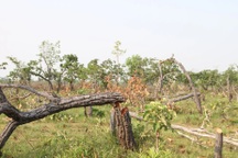 Kỷ luật hàng loạt cán bộ huyện ở Đắk Lắk