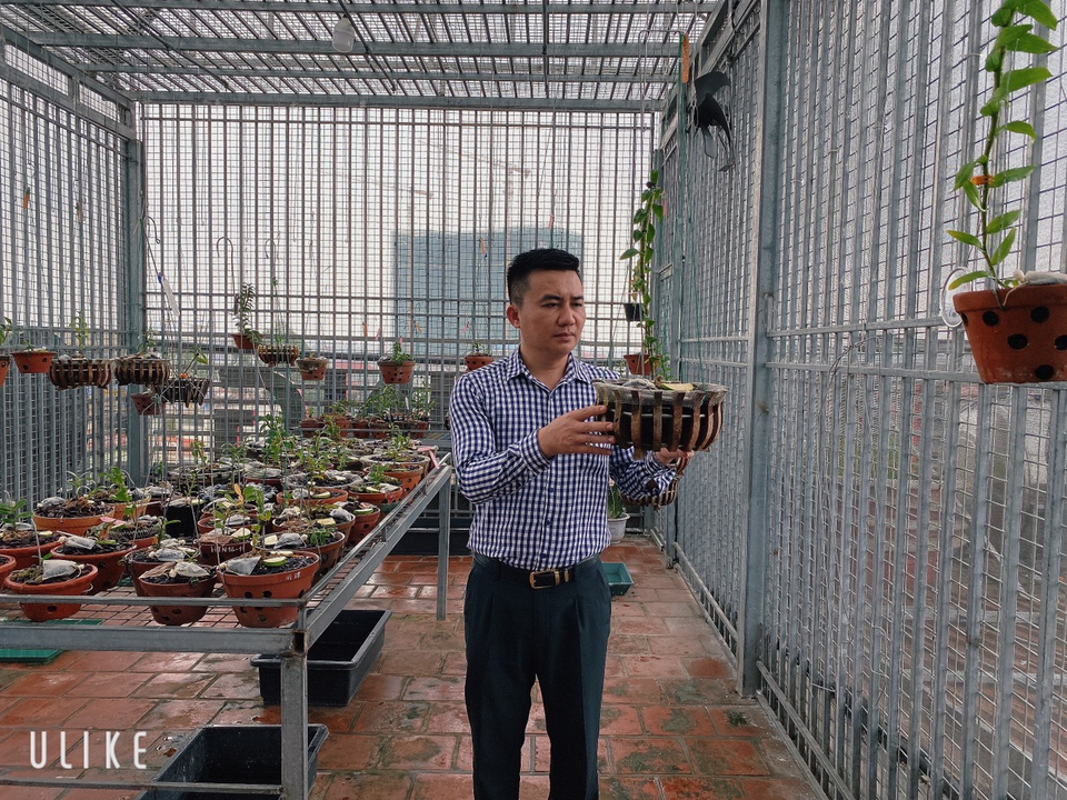 Nghệ nhân hoa lan Phạm Hữu Hùng hướng dẫn các biện pháp xử lý khi hoa lan bị nấm hạt cải - 3 Nghệ nhân hoa lan Phạm Hữu Hùng hướng dẫn các biện pháp xử lý khi hoa lan bị nấm hạt cải - 3