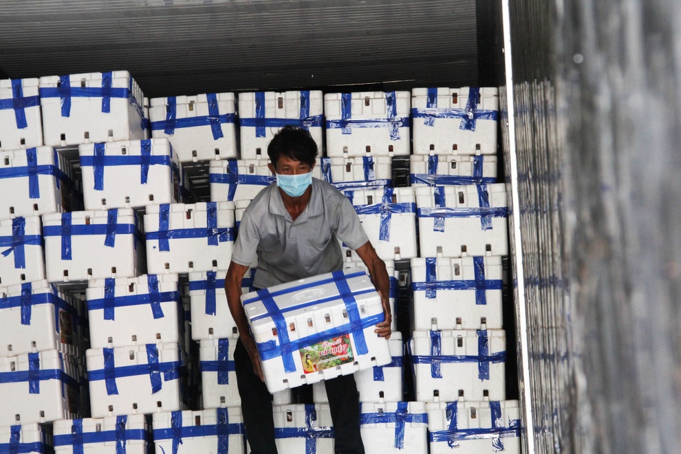 Học sinh lớp 7 phụ giúp mẹ bán vải thiều, chia sẻ với nhà nông Bắc Giang - 3