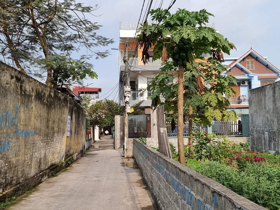 Sống thắc thỏm vì bức tường bao cao 3m của trường học Sống thắc thỏm vì bức tường bao cao 3m của trường học