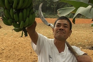 Gặp “vua” bơi lội, tỉ phú trồng rừng… không tay