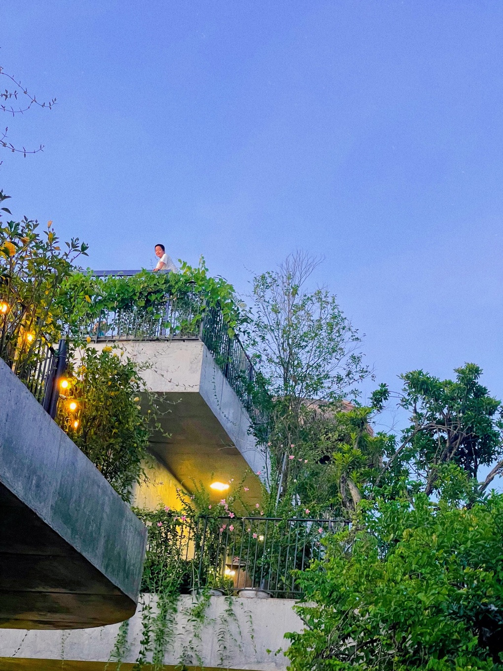 Ông bố khùng đưa bể bơi, vườn cây lên mái nhà 250m2 thay cho máy điều hòa - 11 Ông bố khùng đưa bể bơi, vườn cây lên mái nhà 250m2 thay cho máy điều hòa - 11