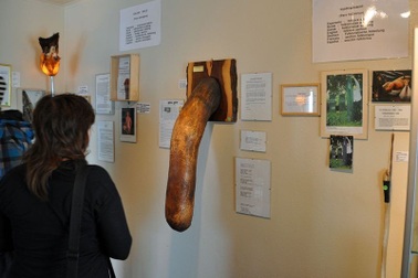 Đỏ mặt khi bước vào công viên “của quý”